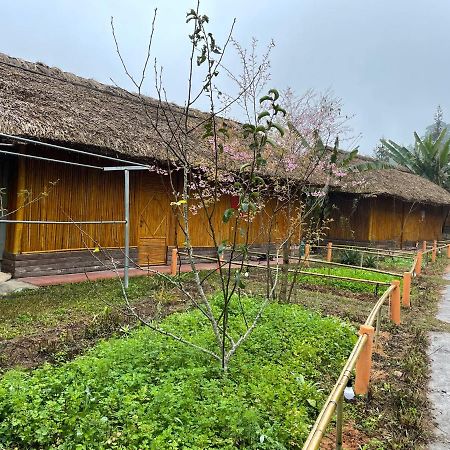 Hoàng Su Phì Bungalow Esterno foto