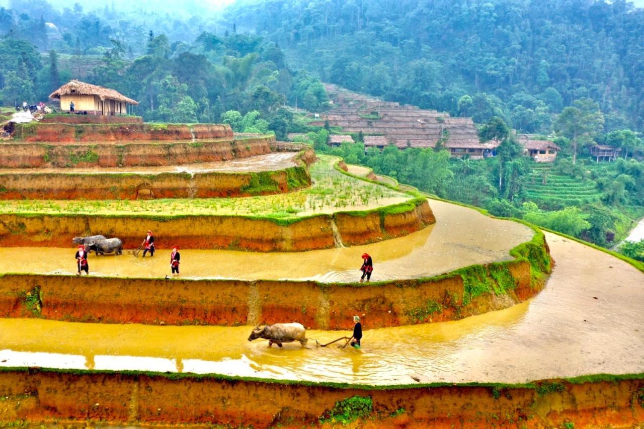 Hoàng Su Phì Bungalow Esterno foto