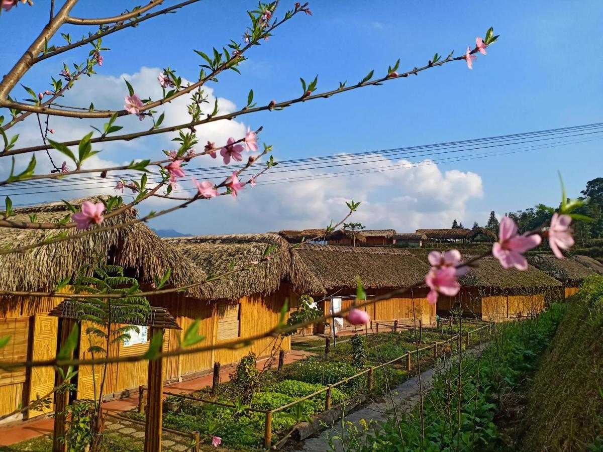 Hoàng Su Phì Bungalow Esterno foto