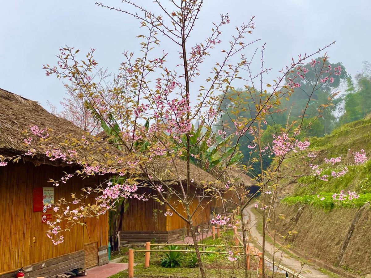 Hoàng Su Phì Bungalow Esterno foto