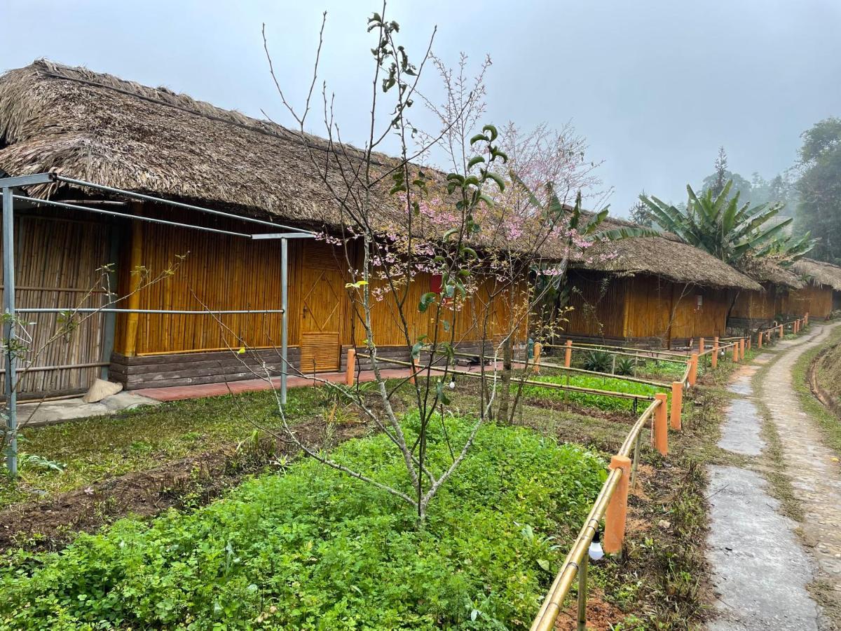 Hoàng Su Phì Bungalow Esterno foto